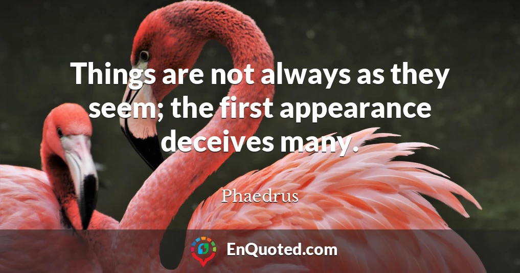 Things are not always as they seem; the first appearance deceives many.