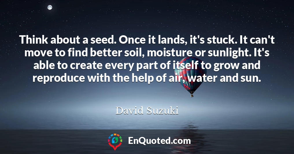 Think about a seed. Once it lands, it's stuck. It can't move to find better soil, moisture or sunlight. It's able to create every part of itself to grow and reproduce with the help of air, water and sun.