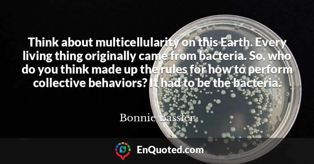 Think about multicellularity on this Earth. Every living thing originally came from bacteria. So, who do you think made up the rules for how to perform collective behaviors? It had to be the bacteria.