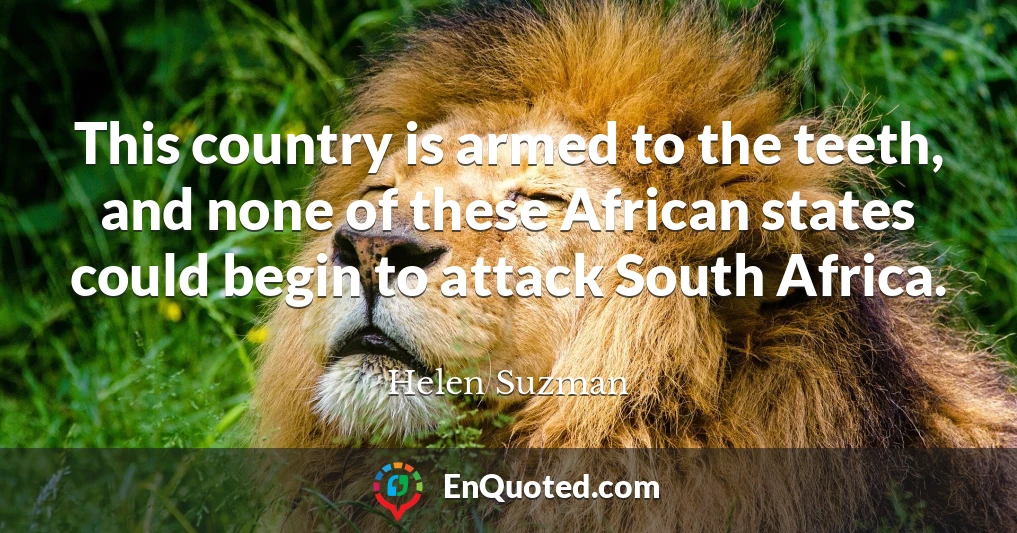 This country is armed to the teeth, and none of these African states could begin to attack South Africa.