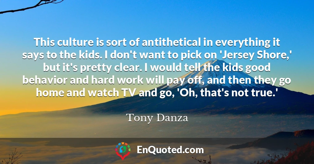 This culture is sort of antithetical in everything it says to the kids. I don't want to pick on 'Jersey Shore,' but it's pretty clear. I would tell the kids good behavior and hard work will pay off, and then they go home and watch TV and go, 'Oh, that's not true.'