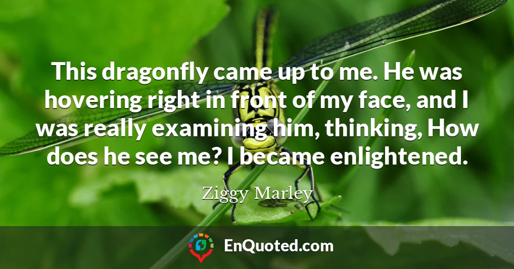 This dragonfly came up to me. He was hovering right in front of my face, and I was really examining him, thinking, How does he see me? I became enlightened.