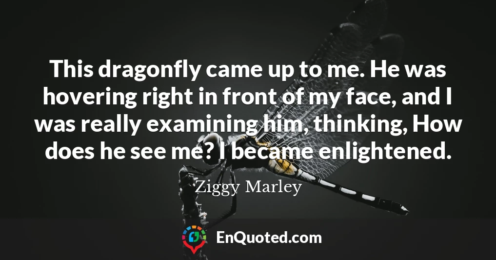 This dragonfly came up to me. He was hovering right in front of my face, and I was really examining him, thinking, How does he see me? I became enlightened.