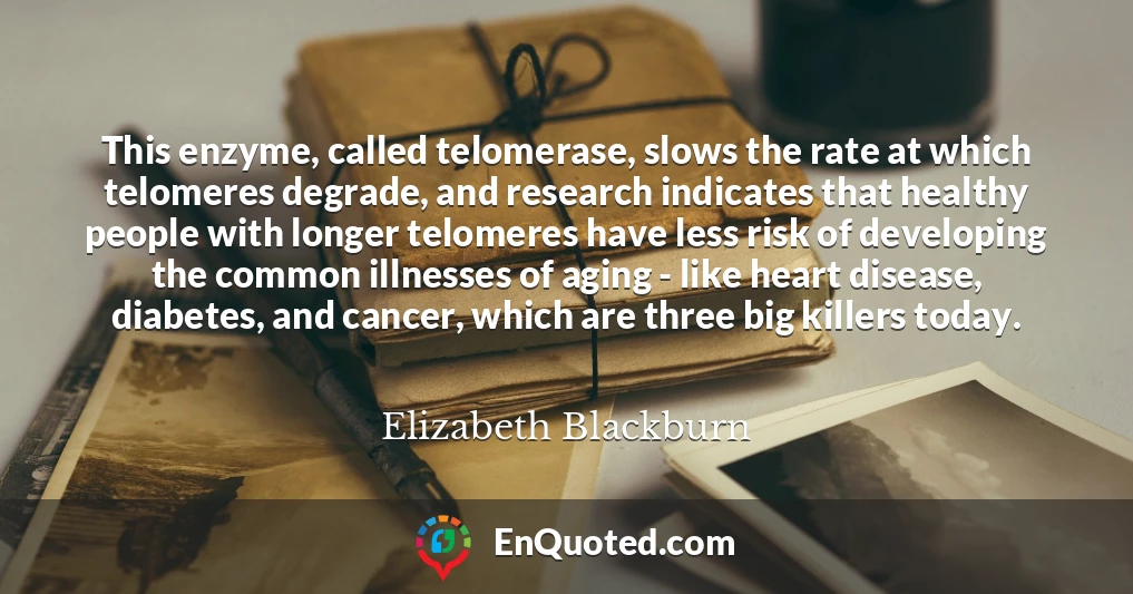 This enzyme, called telomerase, slows the rate at which telomeres degrade, and research indicates that healthy people with longer telomeres have less risk of developing the common illnesses of aging - like heart disease, diabetes, and cancer, which are three big killers today.