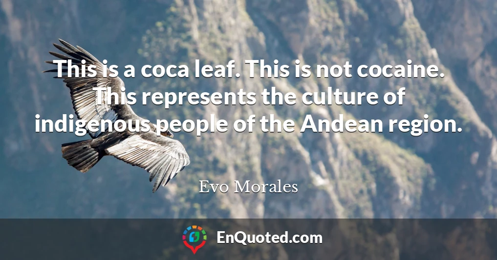 This is a coca leaf. This is not cocaine. This represents the culture of indigenous people of the Andean region.
