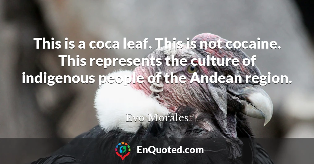 This is a coca leaf. This is not cocaine. This represents the culture of indigenous people of the Andean region.