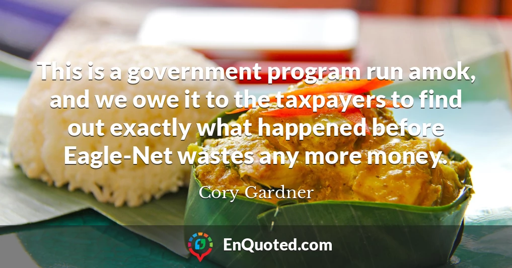 This is a government program run amok, and we owe it to the taxpayers to find out exactly what happened before Eagle-Net wastes any more money.