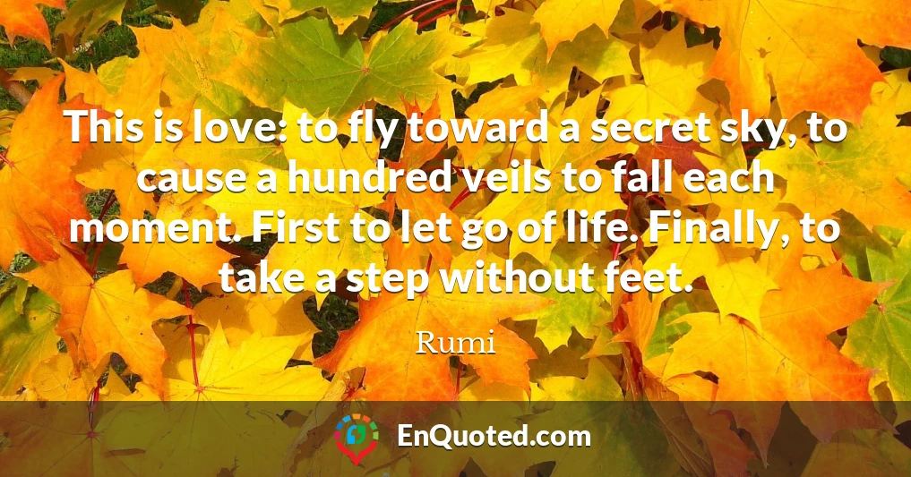 This is love: to fly toward a secret sky, to cause a hundred veils to fall each moment. First to let go of life. Finally, to take a step without feet.