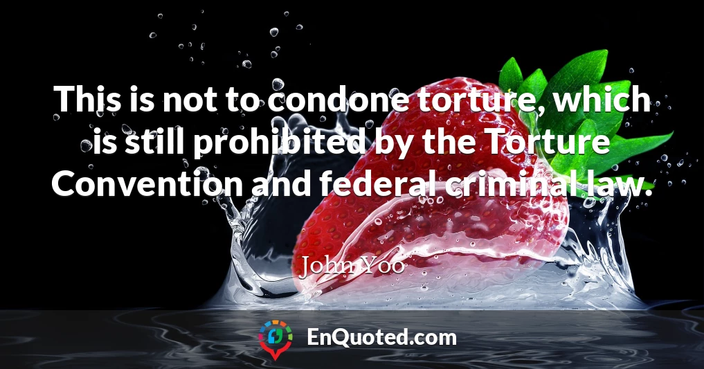 This is not to condone torture, which is still prohibited by the Torture Convention and federal criminal law.