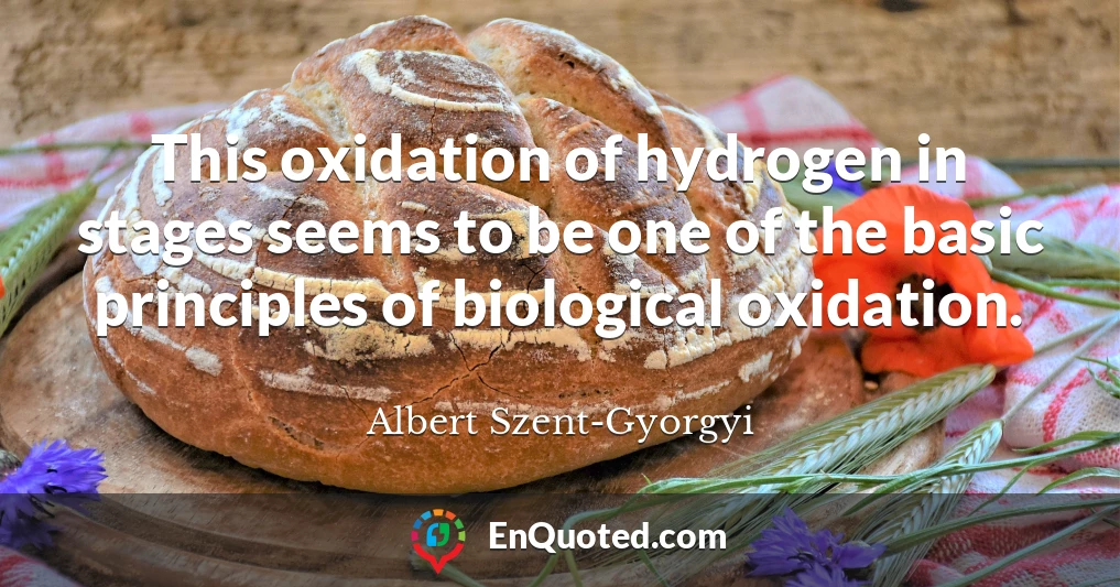 This oxidation of hydrogen in stages seems to be one of the basic principles of biological oxidation.