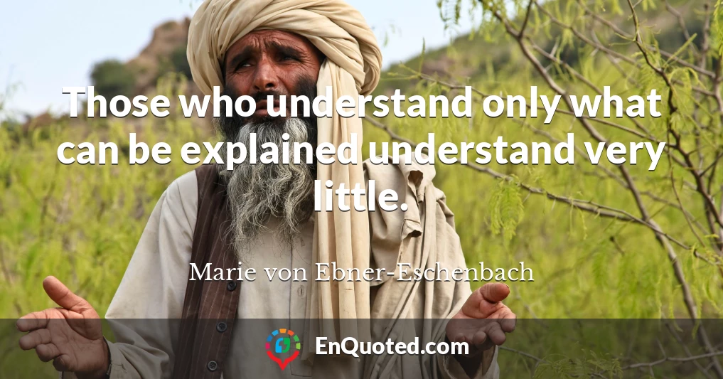 Those who understand only what can be explained understand very little.