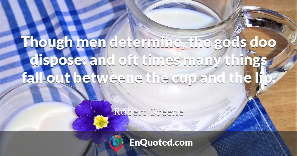 Though men determine, the gods doo dispose: and oft times many things fall out betweene the cup and the lip.