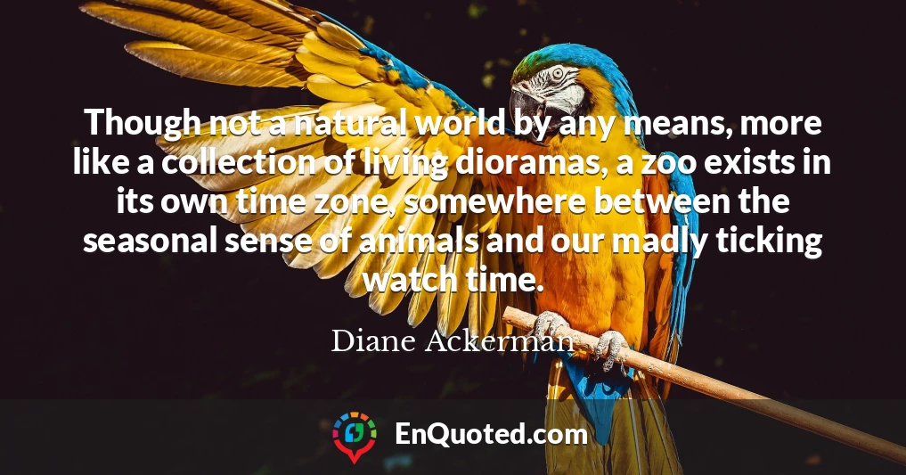 Though not a natural world by any means, more like a collection of living dioramas, a zoo exists in its own time zone, somewhere between the seasonal sense of animals and our madly ticking watch time.