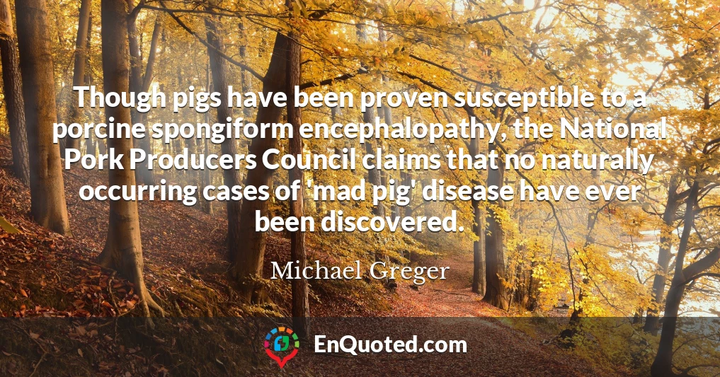 Though pigs have been proven susceptible to a porcine spongiform encephalopathy, the National Pork Producers Council claims that no naturally occurring cases of 'mad pig' disease have ever been discovered.