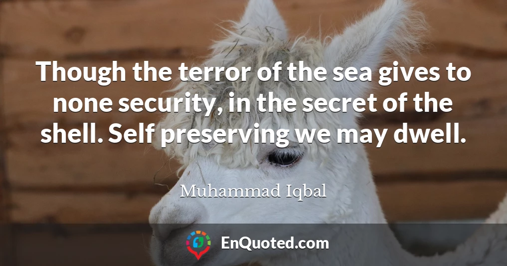 Though the terror of the sea gives to none security, in the secret of the shell. Self preserving we may dwell.