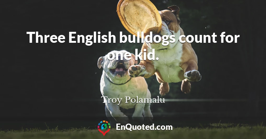 Three English bulldogs count for one kid.