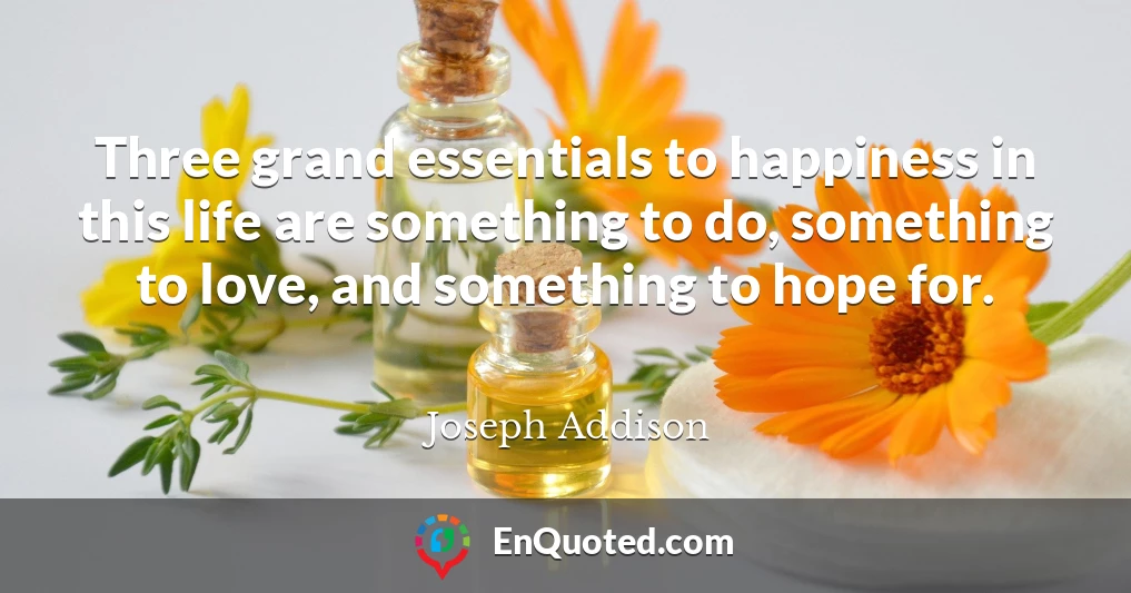 Three grand essentials to happiness in this life are something to do, something to love, and something to hope for.