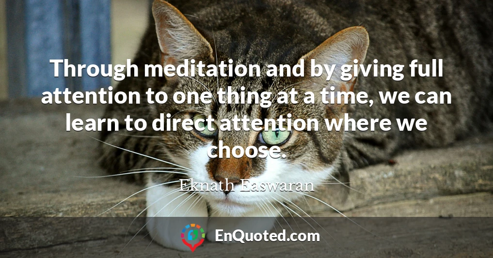 Through meditation and by giving full attention to one thing at a time, we can learn to direct attention where we choose.