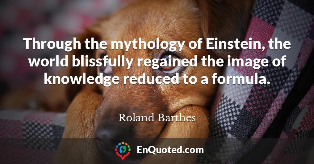 Through the mythology of Einstein, the world blissfully regained the image of knowledge reduced to a formula.