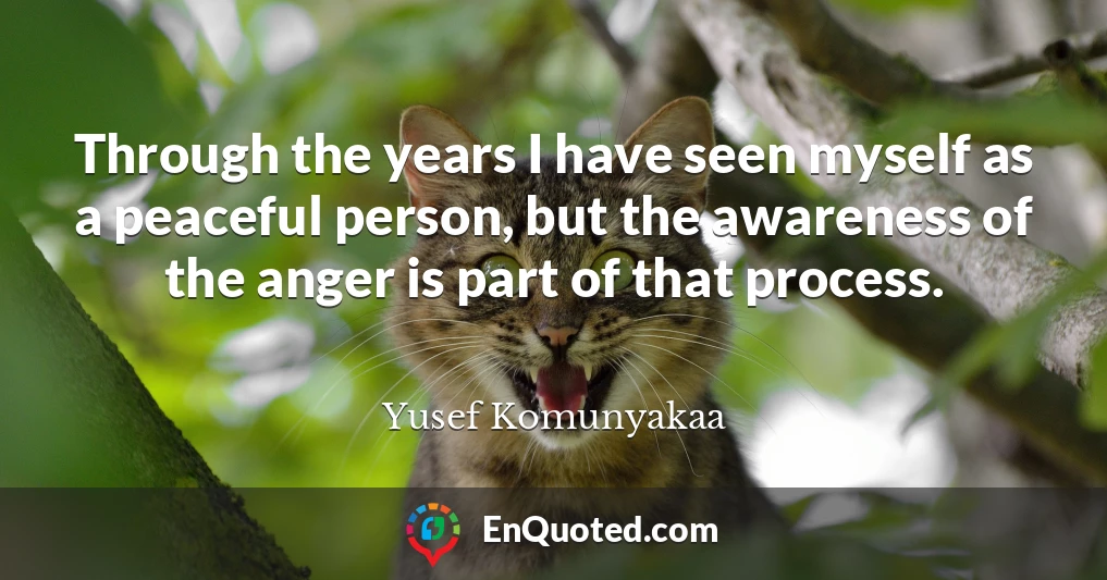 Through the years I have seen myself as a peaceful person, but the awareness of the anger is part of that process.