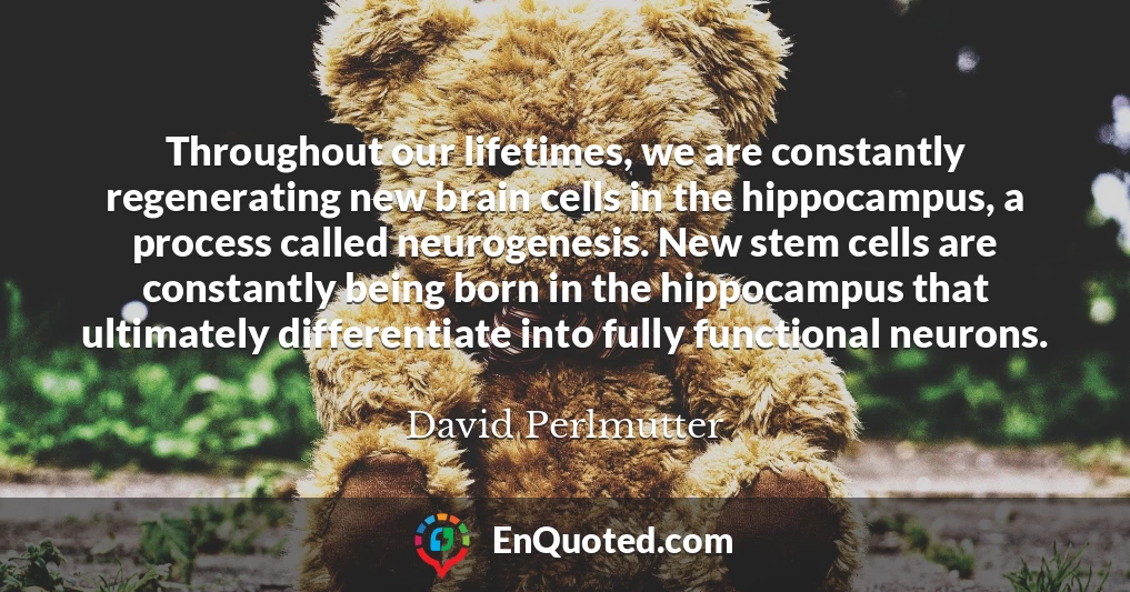 Throughout our lifetimes, we are constantly regenerating new brain cells in the hippocampus, a process called neurogenesis. New stem cells are constantly being born in the hippocampus that ultimately differentiate into fully functional neurons.