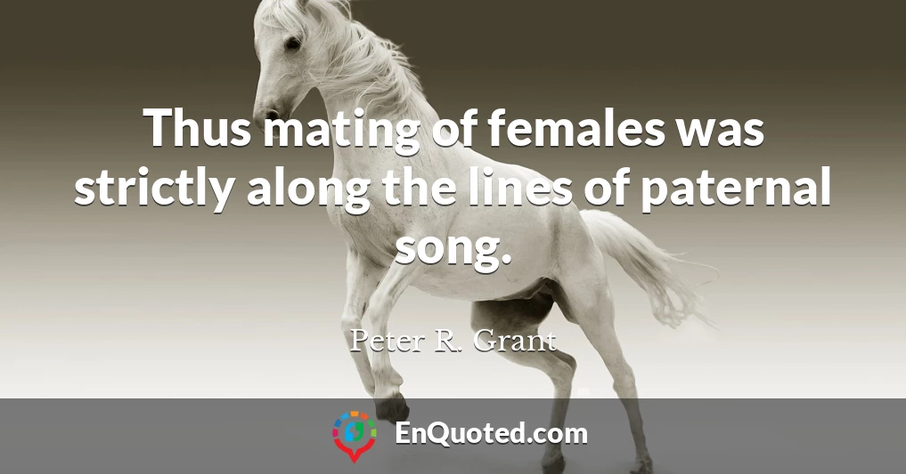 Thus mating of females was strictly along the lines of paternal song.
