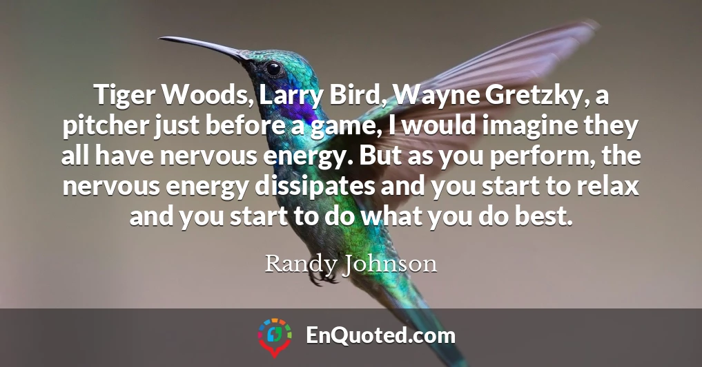 Tiger Woods, Larry Bird, Wayne Gretzky, a pitcher just before a game, I would imagine they all have nervous energy. But as you perform, the nervous energy dissipates and you start to relax and you start to do what you do best.