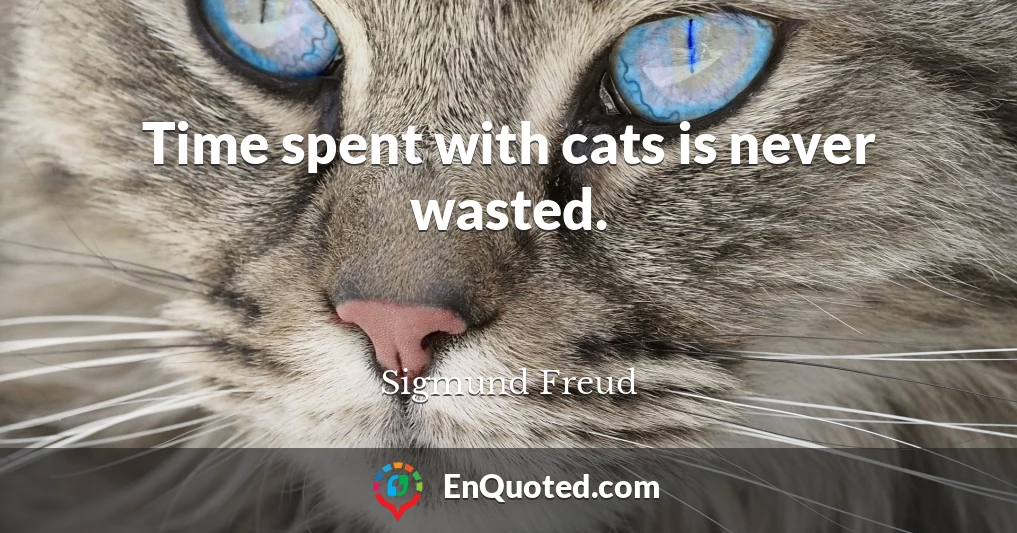 Time spent with cats is never wasted.