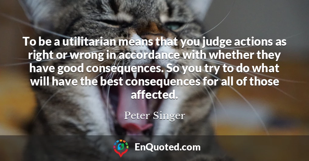 To be a utilitarian means that you judge actions as right or wrong in accordance with whether they have good consequences. So you try to do what will have the best consequences for all of those affected.