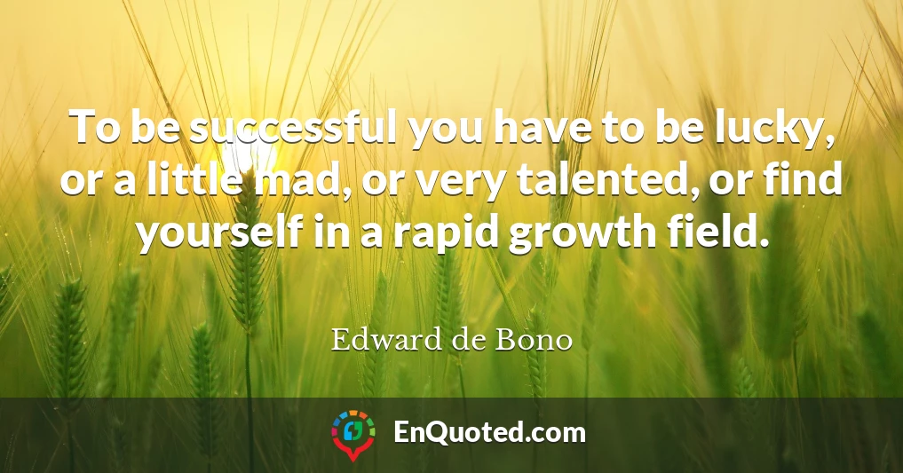 To be successful you have to be lucky, or a little mad, or very talented, or find yourself in a rapid growth field.