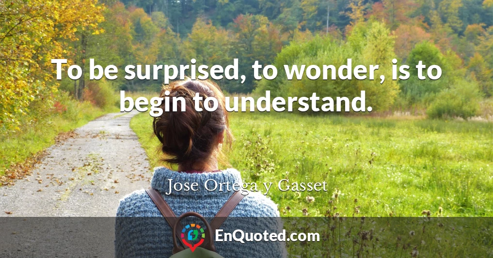 To be surprised, to wonder, is to begin to understand.