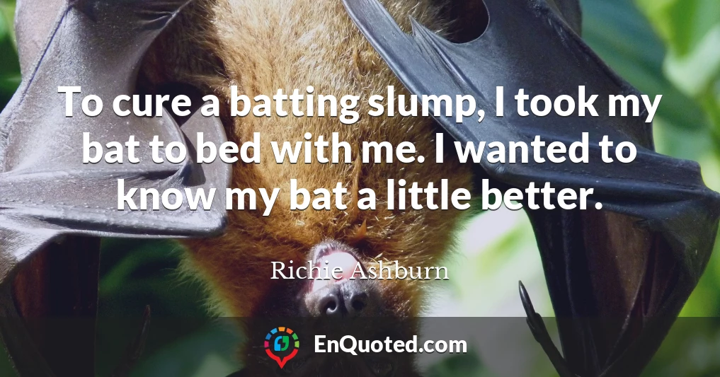 To cure a batting slump, I took my bat to bed with me. I wanted to know my bat a little better.