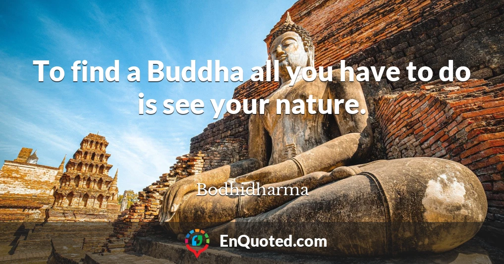 To find a Buddha all you have to do is see your nature.