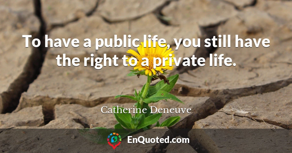 To have a public life, you still have the right to a private life.