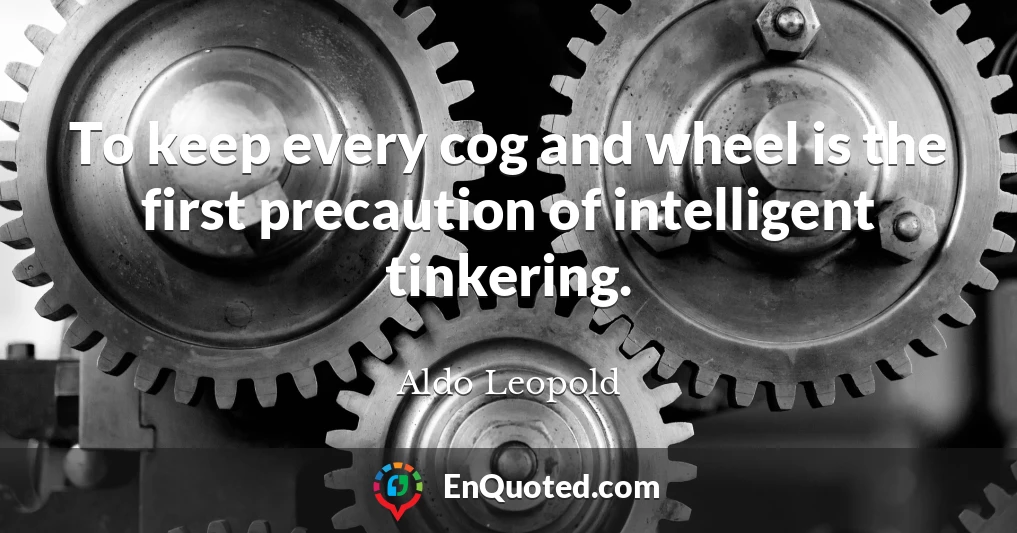 To keep every cog and wheel is the first precaution of intelligent tinkering.