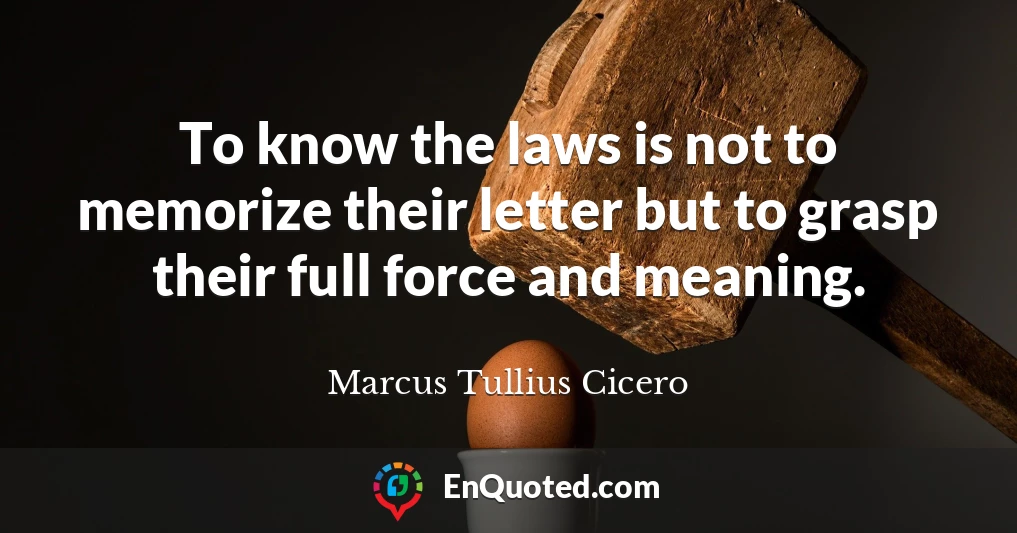 To know the laws is not to memorize their letter but to grasp their full force and meaning.