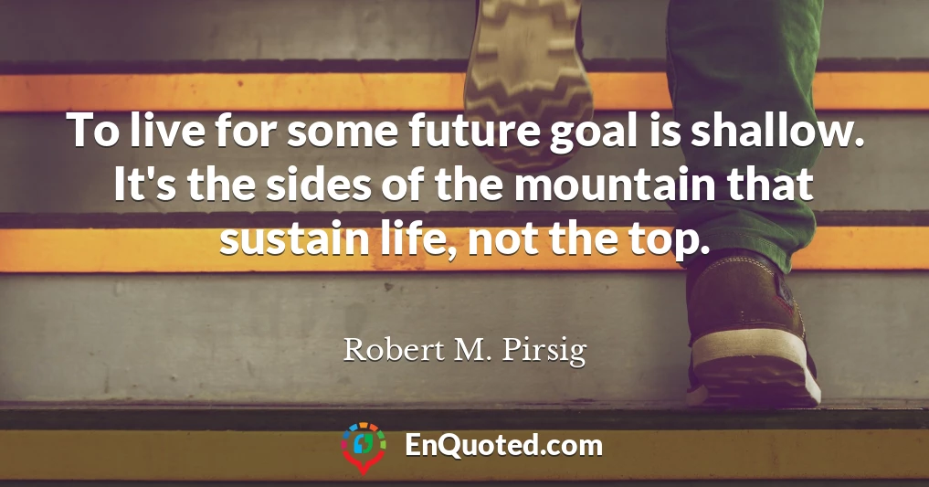 To live for some future goal is shallow. It's the sides of the mountain that sustain life, not the top.