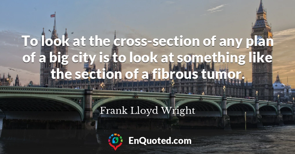 To look at the cross-section of any plan of a big city is to look at something like the section of a fibrous tumor.