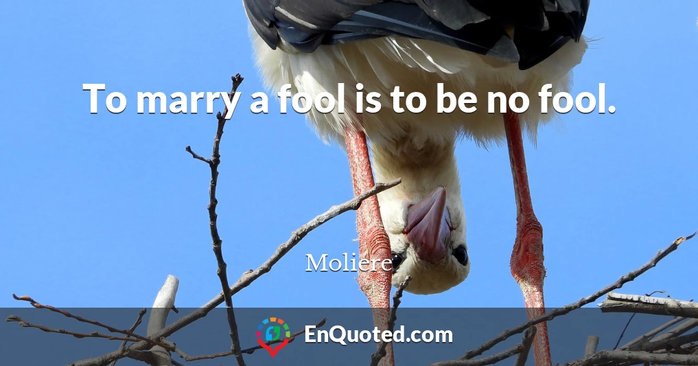 To marry a fool is to be no fool.