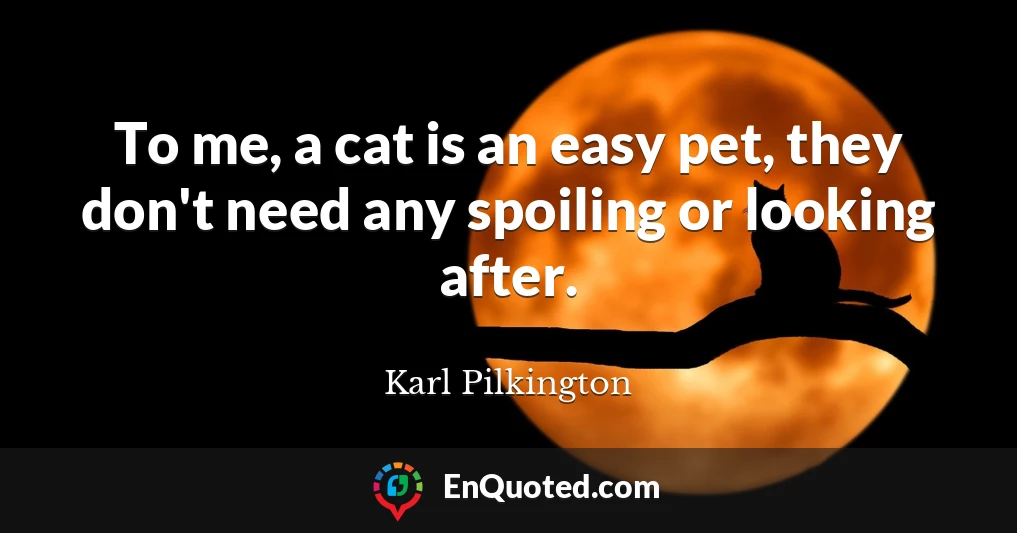 To me, a cat is an easy pet, they don't need any spoiling or looking after.