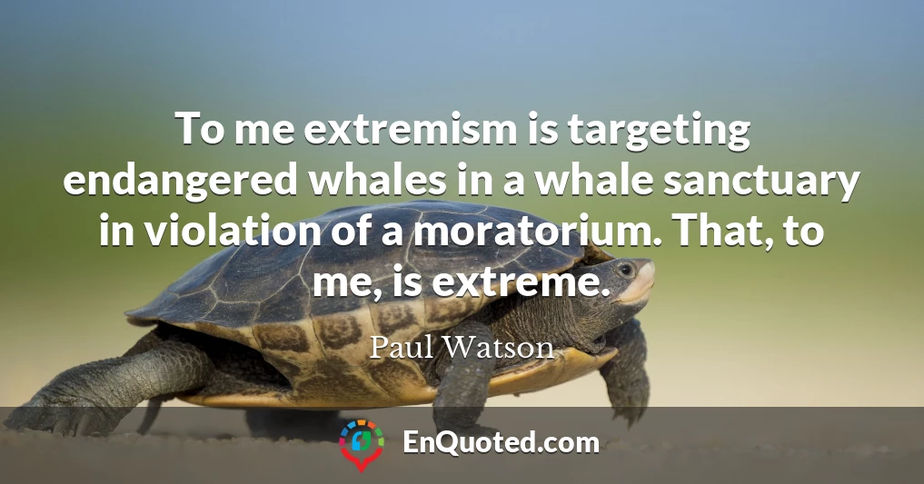 To me extremism is targeting endangered whales in a whale sanctuary in violation of a moratorium. That, to me, is extreme.