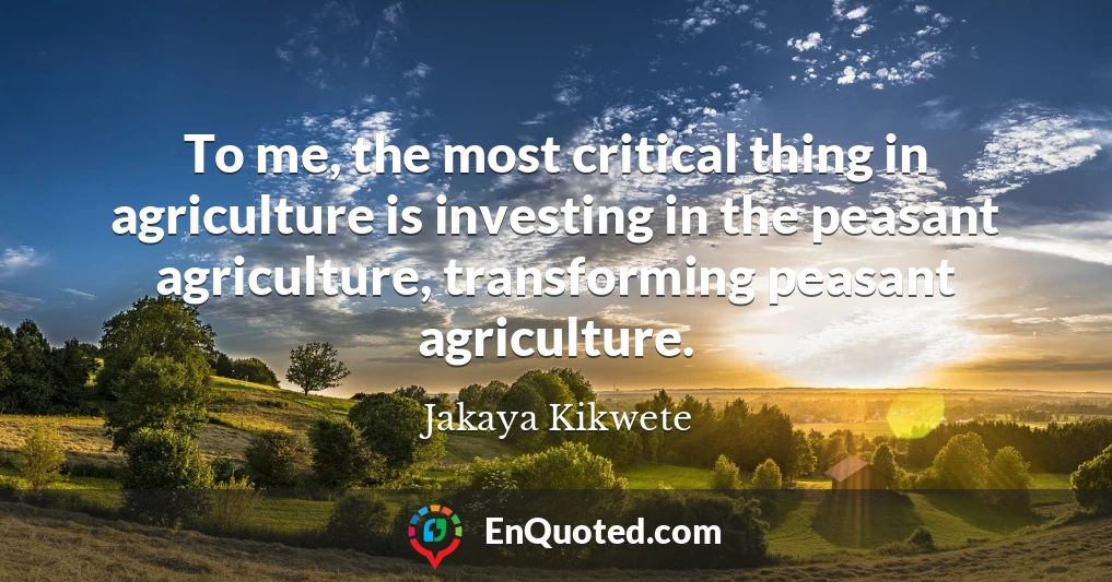 To me, the most critical thing in agriculture is investing in the peasant agriculture, transforming peasant agriculture.