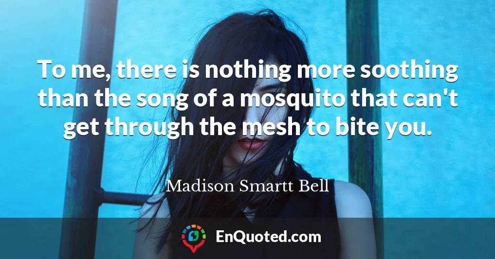 To me, there is nothing more soothing than the song of a mosquito that can't get through the mesh to bite you.