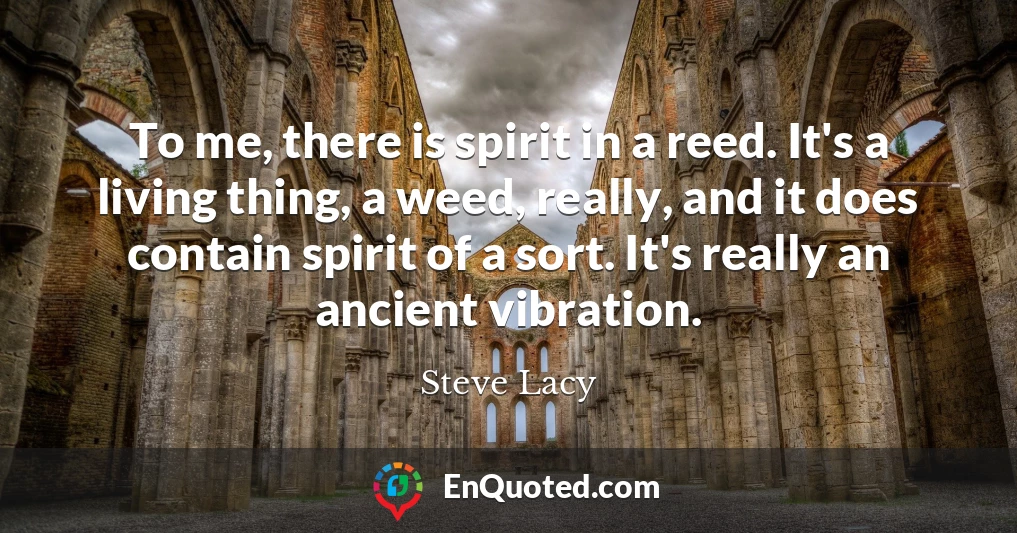 To me, there is spirit in a reed. It's a living thing, a weed, really, and it does contain spirit of a sort. It's really an ancient vibration.