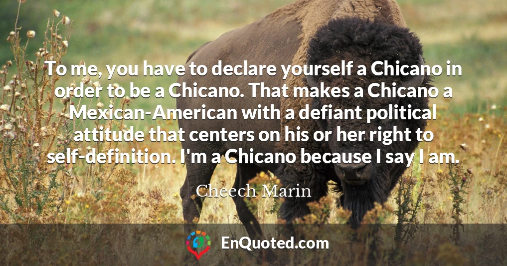 To me, you have to declare yourself a Chicano in order to be a Chicano. That makes a Chicano a Mexican-American with a defiant political attitude that centers on his or her right to self-definition. I'm a Chicano because I say I am.