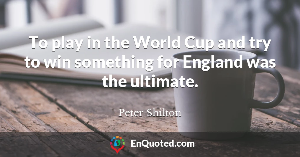 To play in the World Cup and try to win something for England was the ultimate.