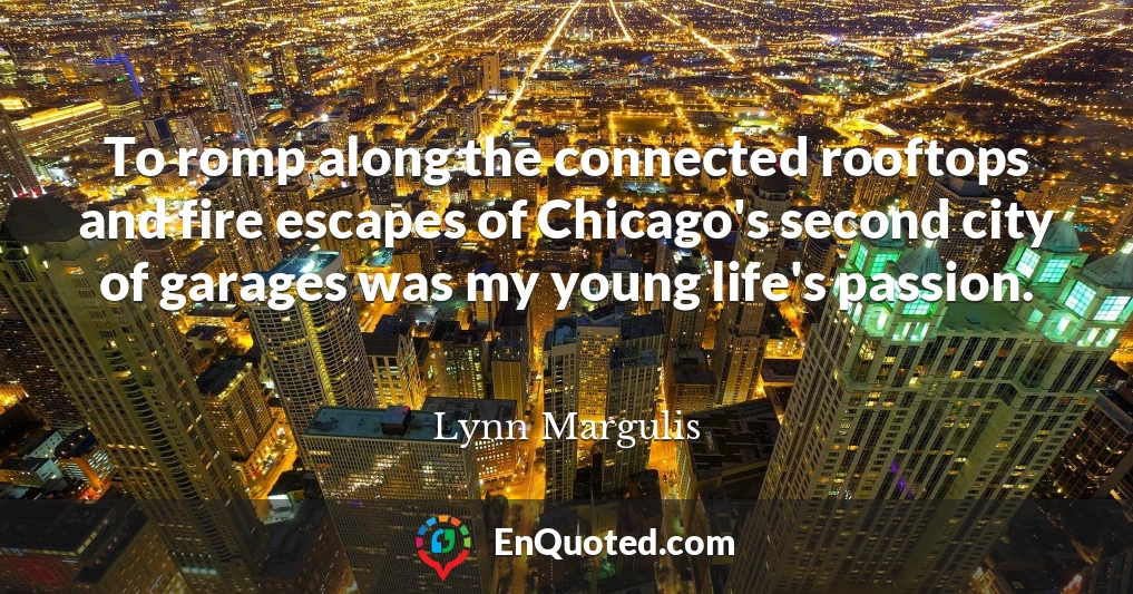 To romp along the connected rooftops and fire escapes of Chicago's second city of garages was my young life's passion.
