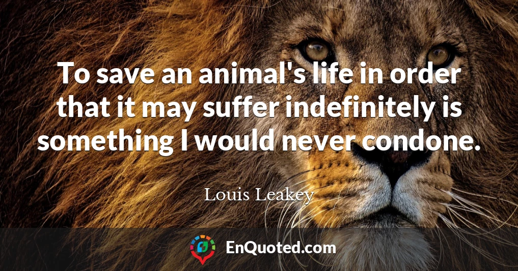 To save an animal's life in order that it may suffer indefinitely is something I would never condone.