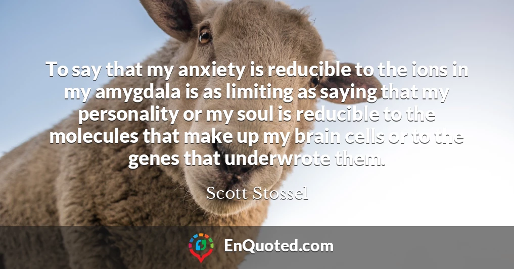 To say that my anxiety is reducible to the ions in my amygdala is as limiting as saying that my personality or my soul is reducible to the molecules that make up my brain cells or to the genes that underwrote them.