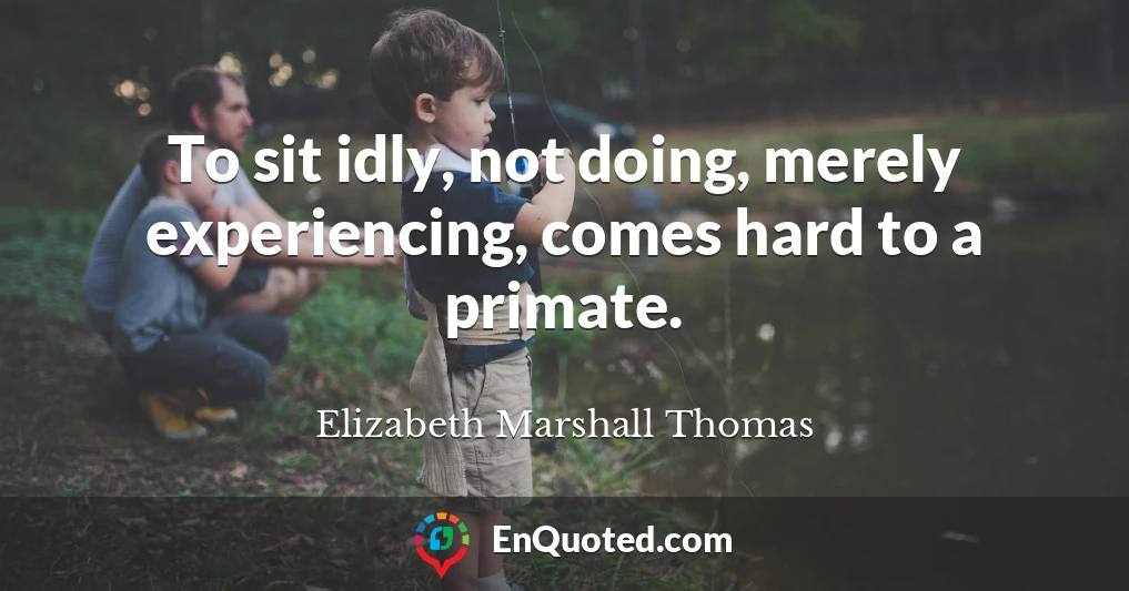 To sit idly, not doing, merely experiencing, comes hard to a primate.